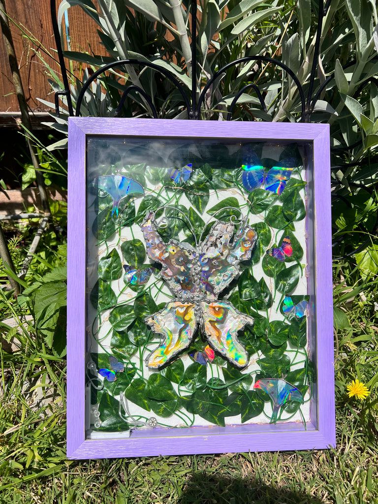 Aura C0ral Butterfly with display case
