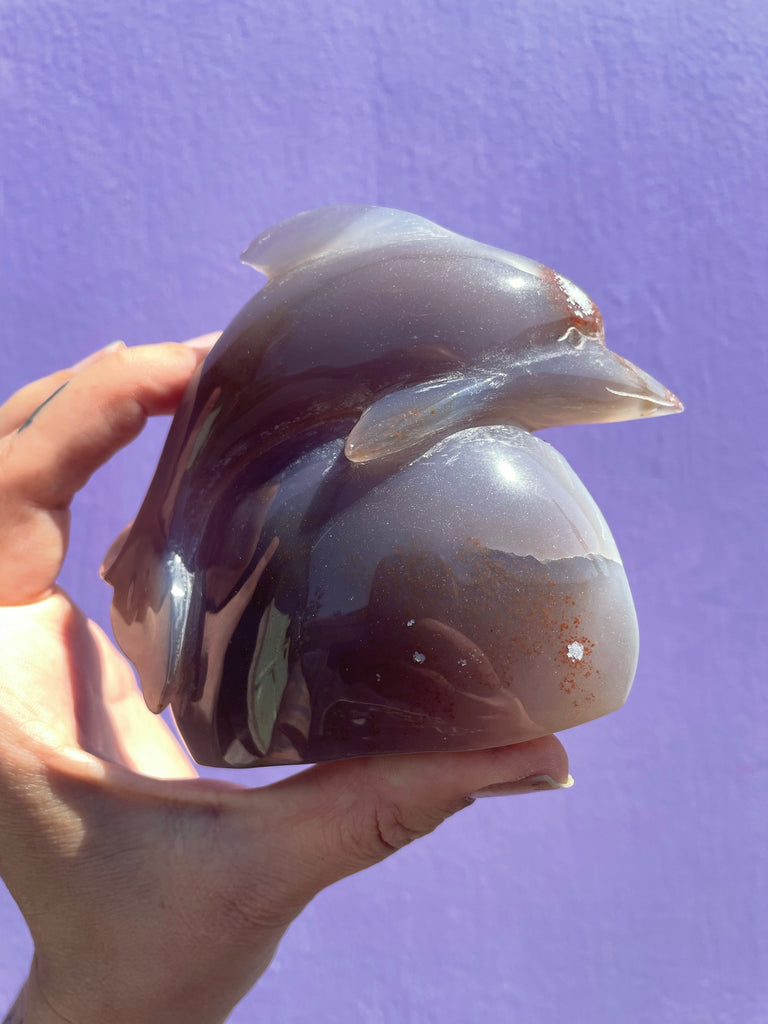 Aura Agate Dolphin with druzy geode cave no.1