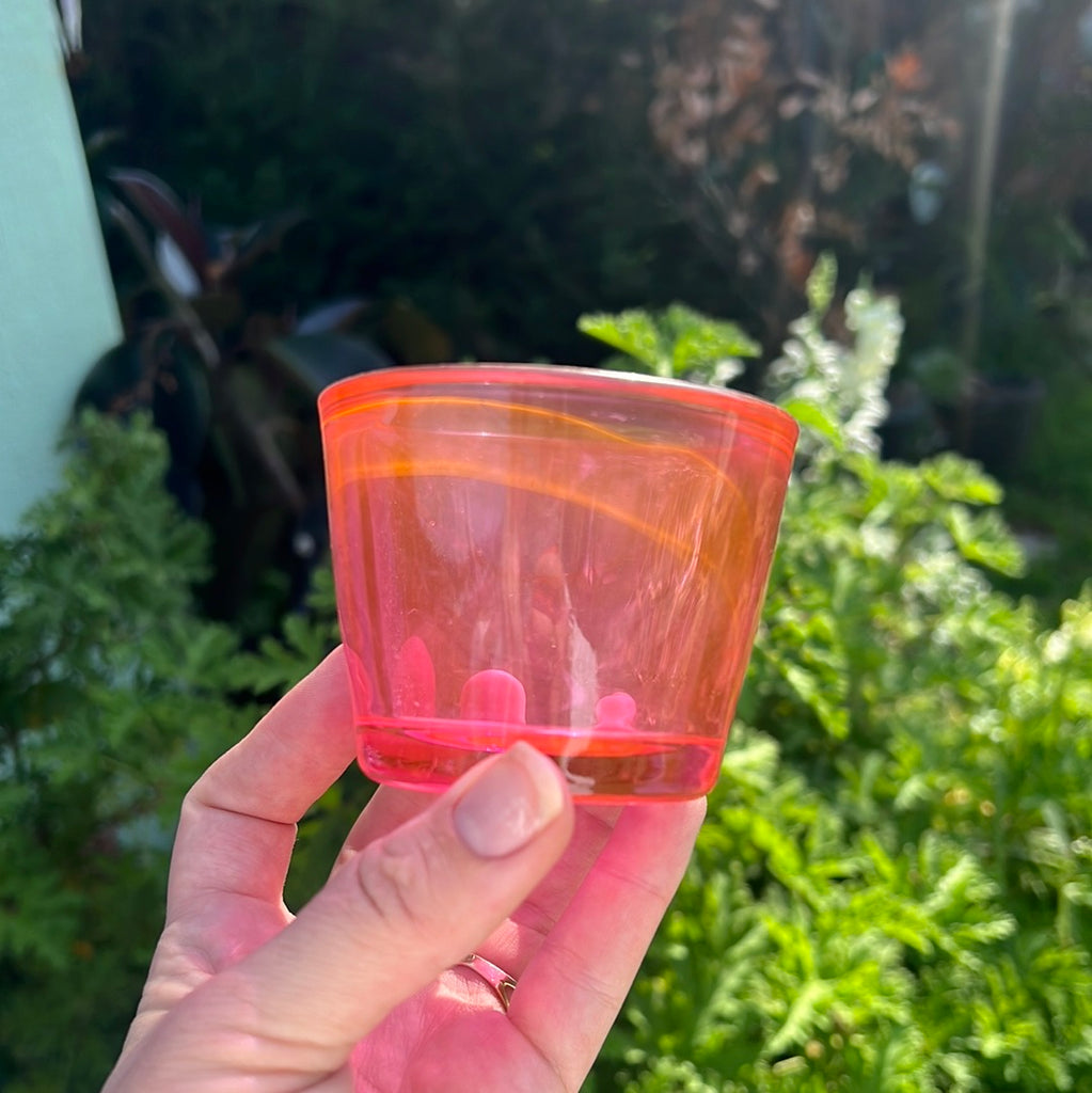 Pink glass mini bowl