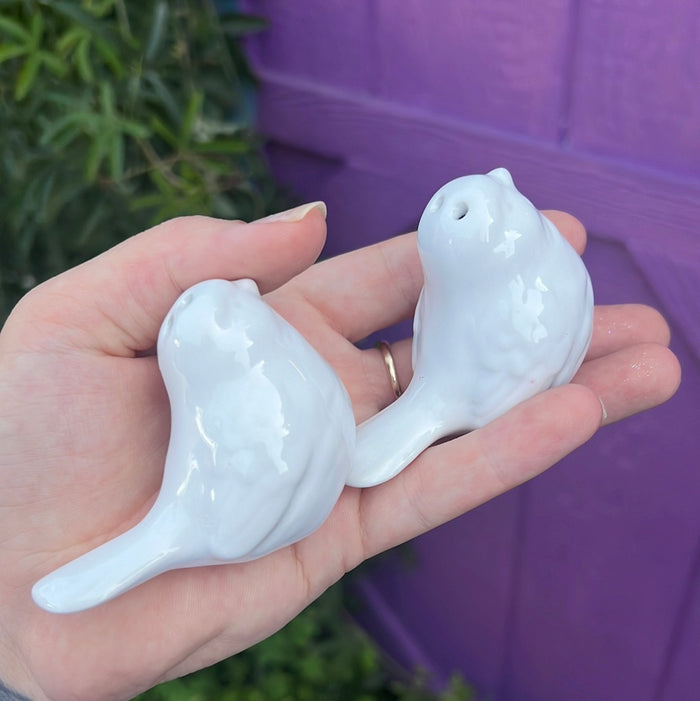 Ceramic bird salt and pepper shakers