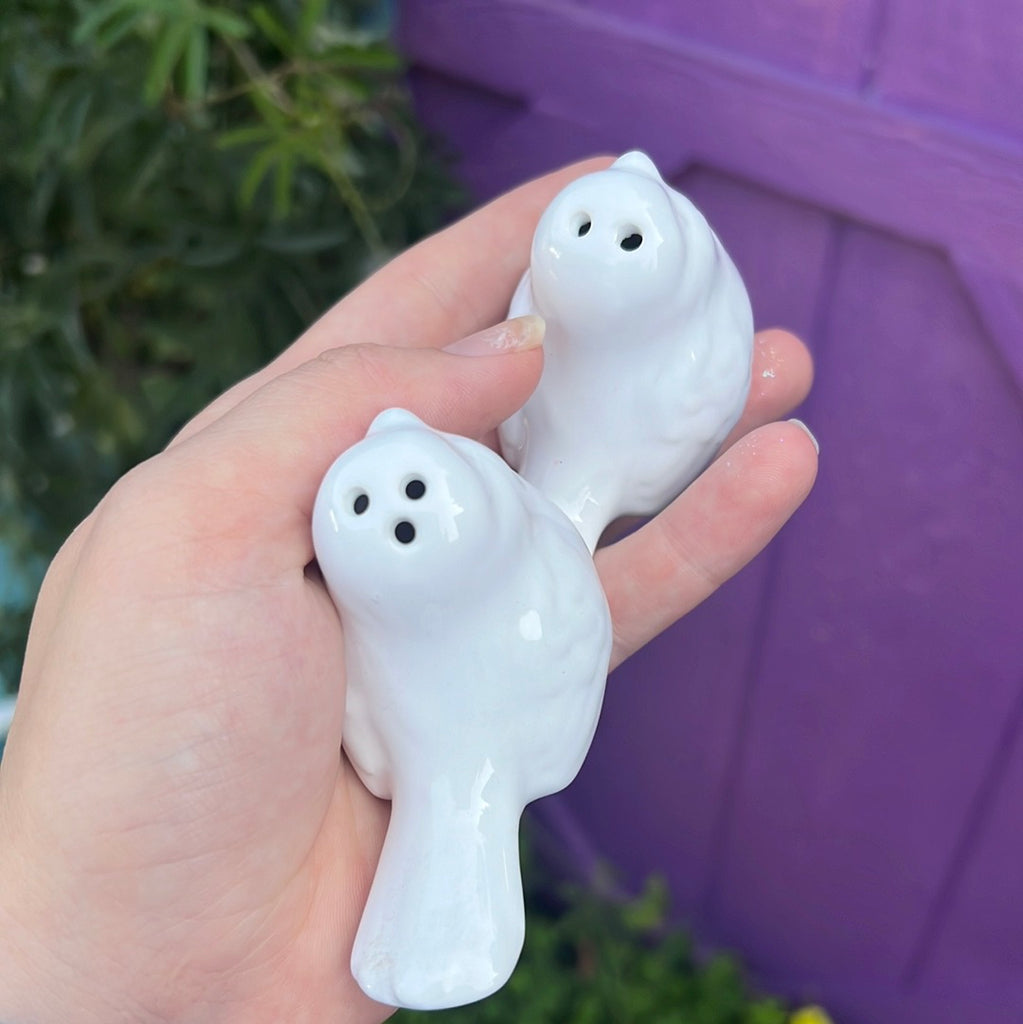 Ceramic bird salt and pepper shakers