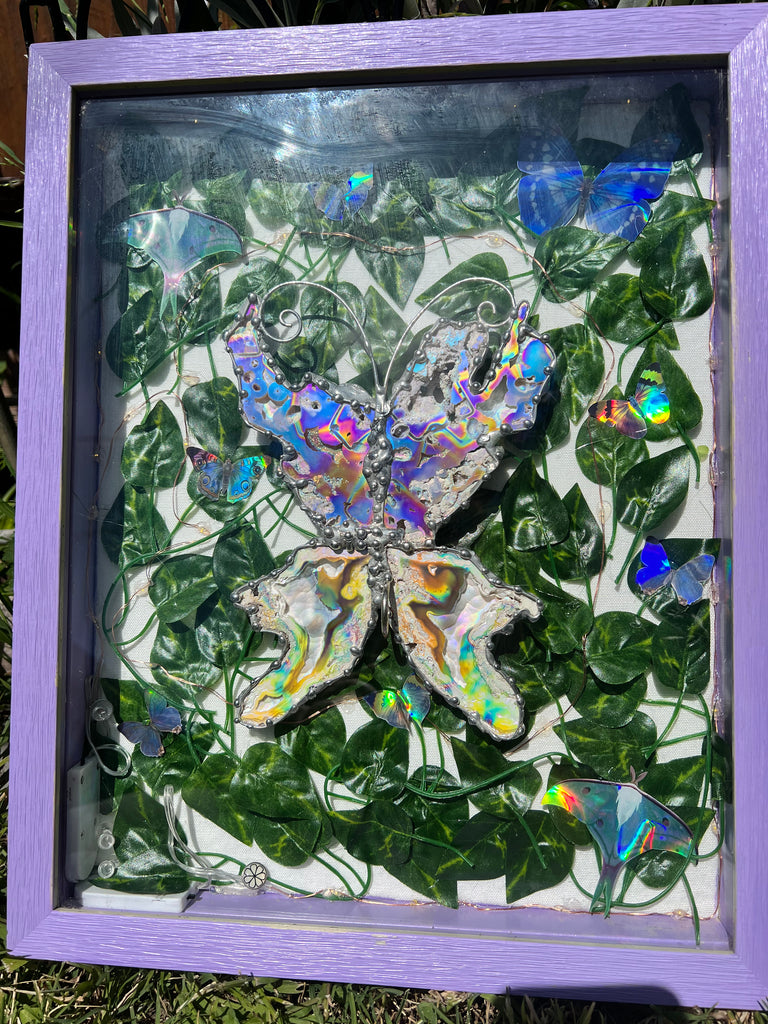 Aura C0ral Butterfly with display case