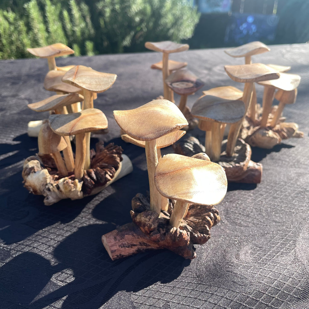 Wooden Mushrooms (small)