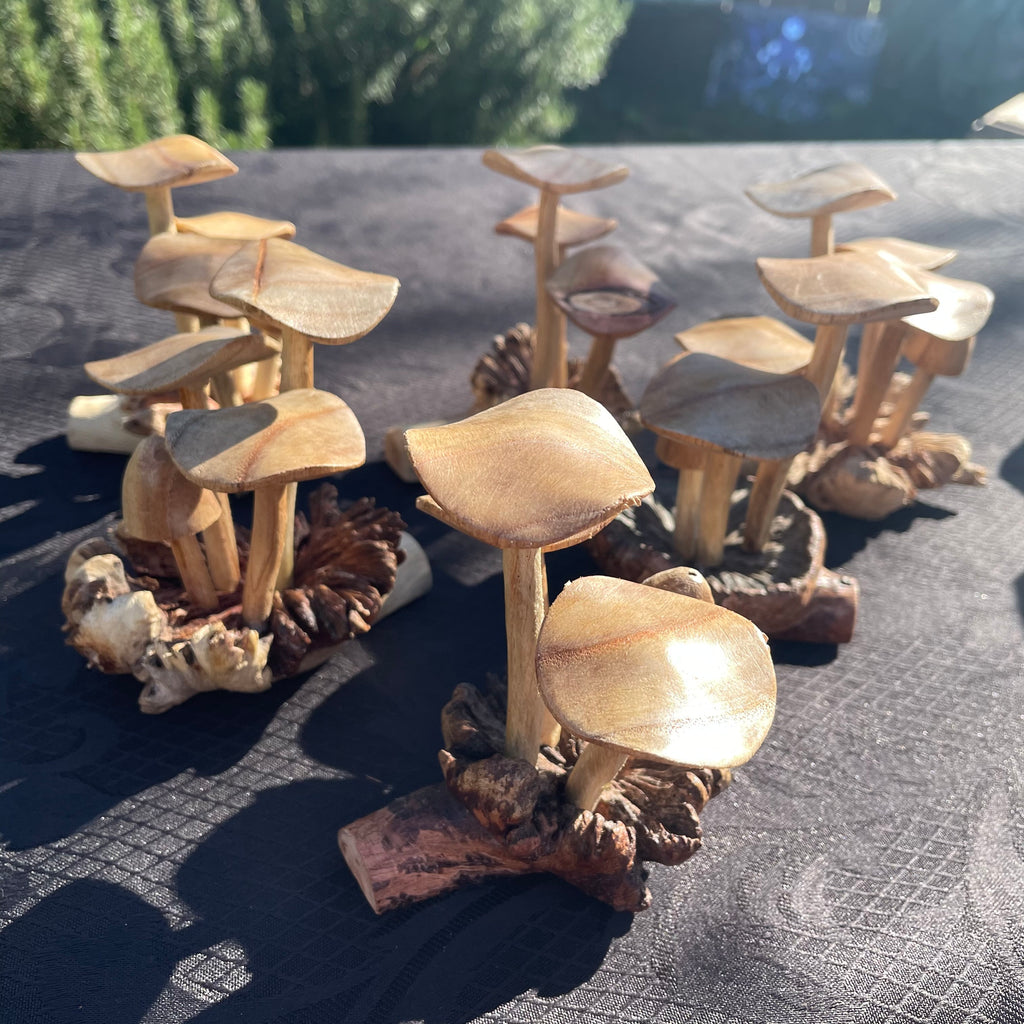 Wooden Mushrooms (small)