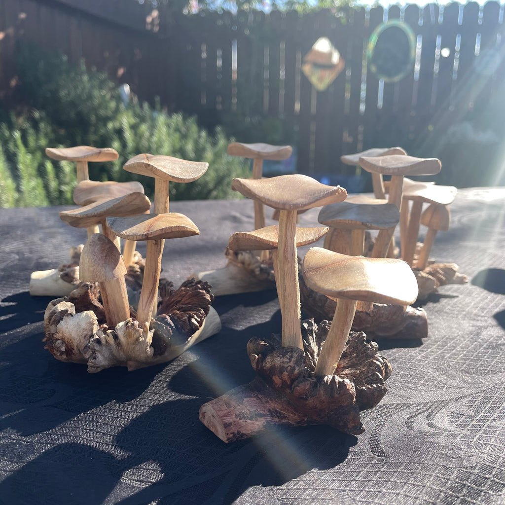 Wooden Mushrooms (small)