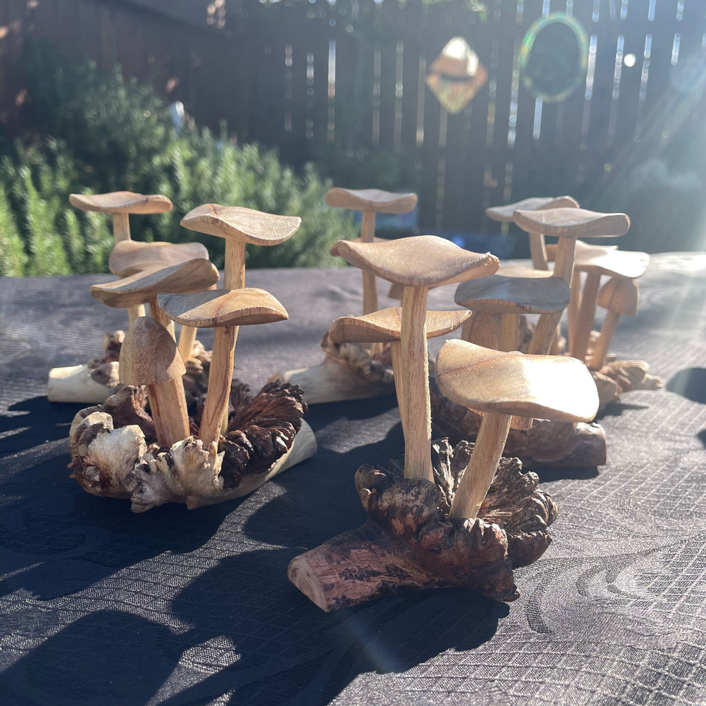 Wooden Mushrooms (small)