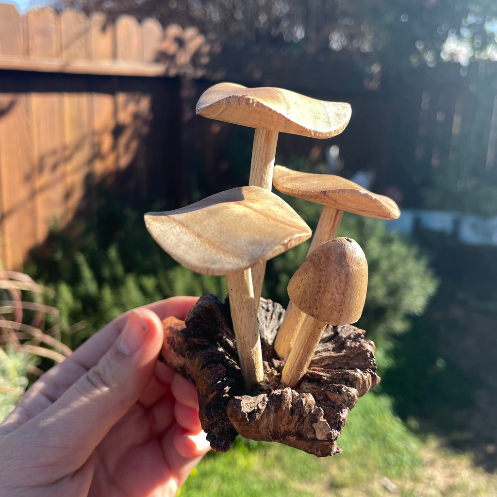 Wooden Mushrooms (small)
