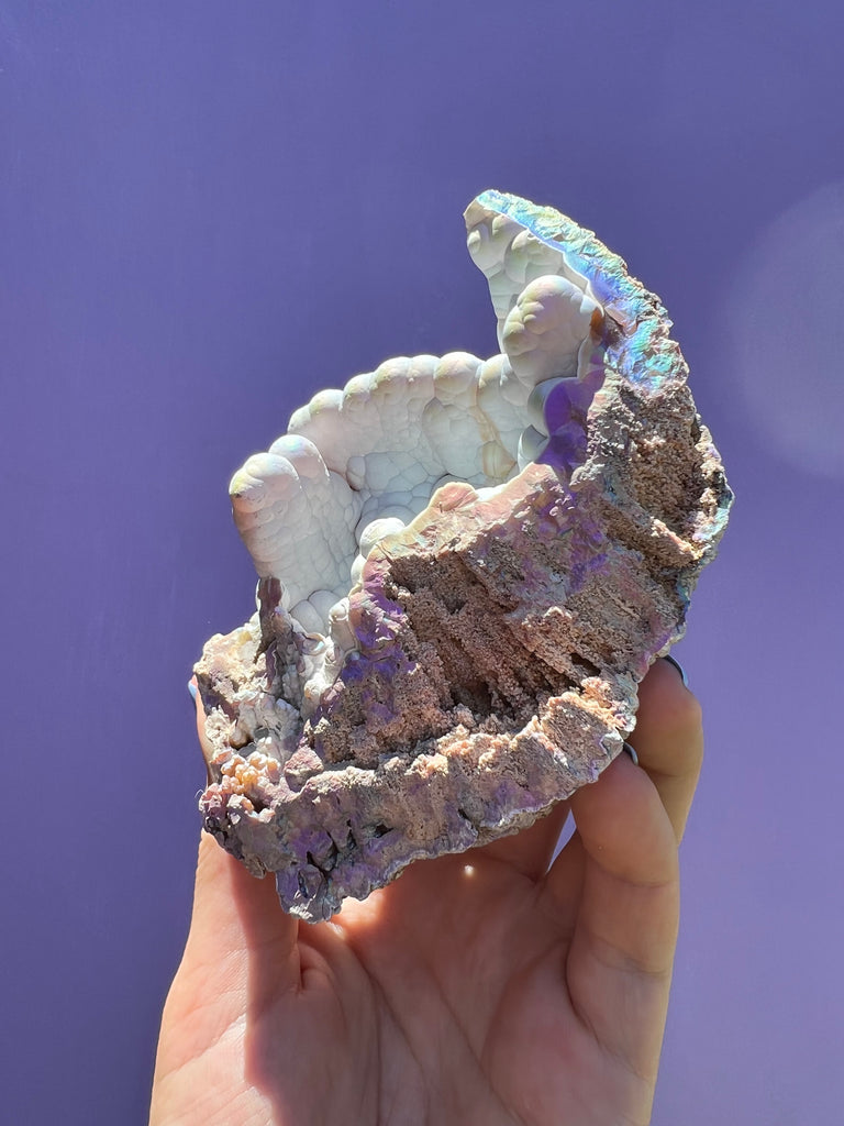 Aura FossilizedCoral no.2