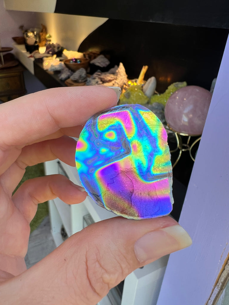 Aura Ammonite no.2