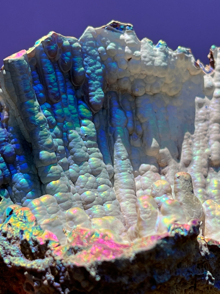 Aura FossilizedCoral no.1