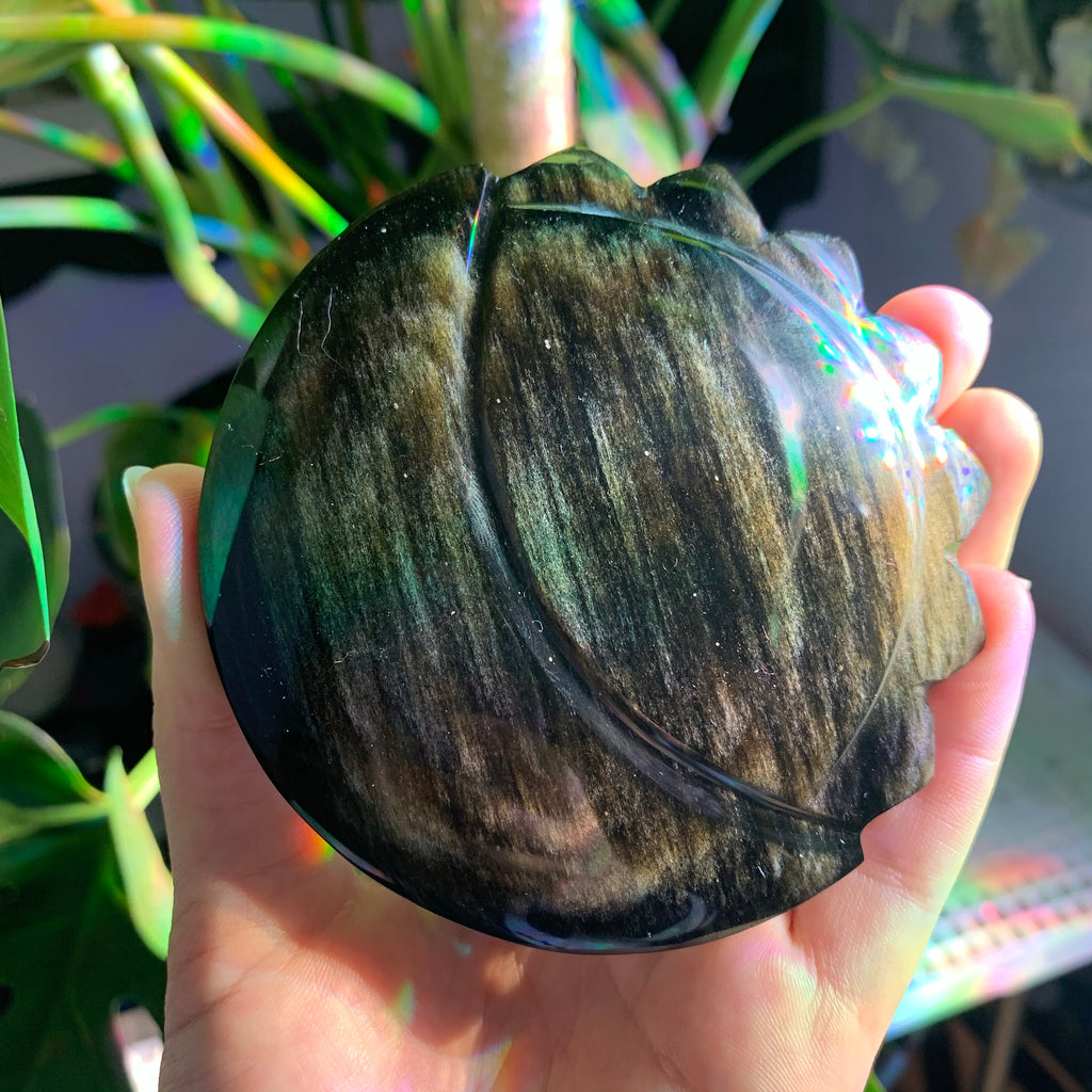 Sun and Moon Golden Sheen Obsidian