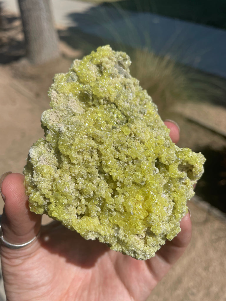Sulfer Specimen no.1