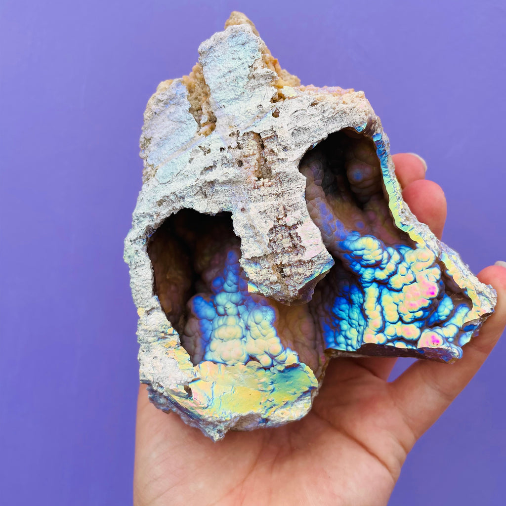 Rare Aura Agatized Coral double chamber