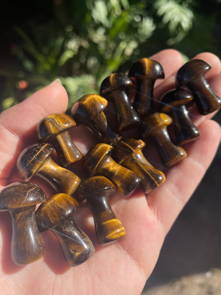 Tigers eye Mini Mushroom
