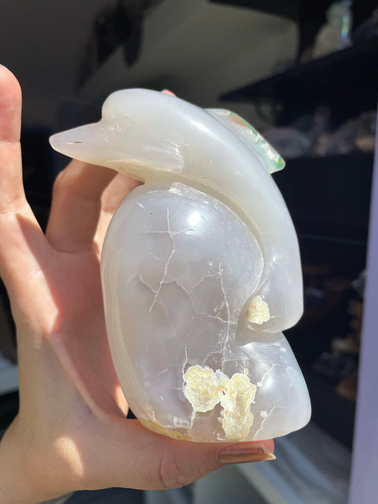 Aura Chalcedony Dolphin with druzy geode cave no.3