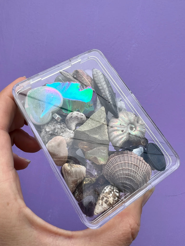 Mystery Grab Box Valued over $70