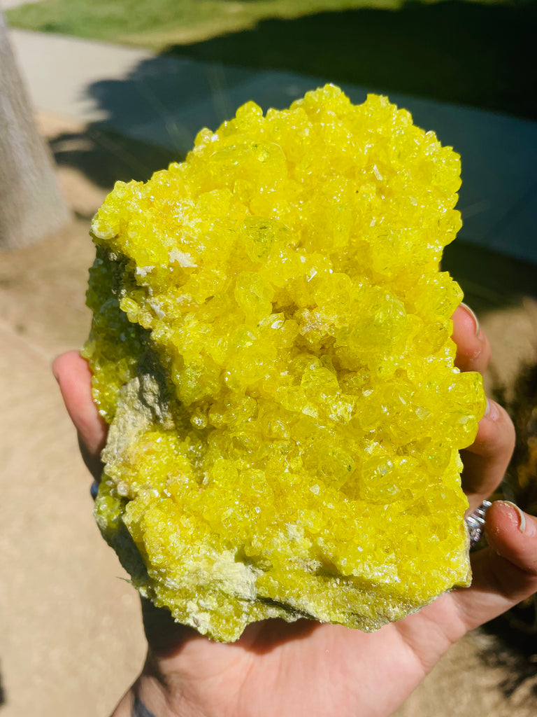 Sulfer Specimen no.2