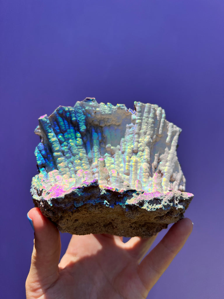 Aura FossilizedCoral no.1