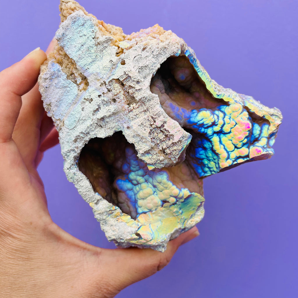 Rare Aura Agatized Coral double chamber