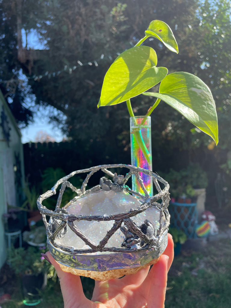 The Whole Gang is here! Fairy Frog Propogation station