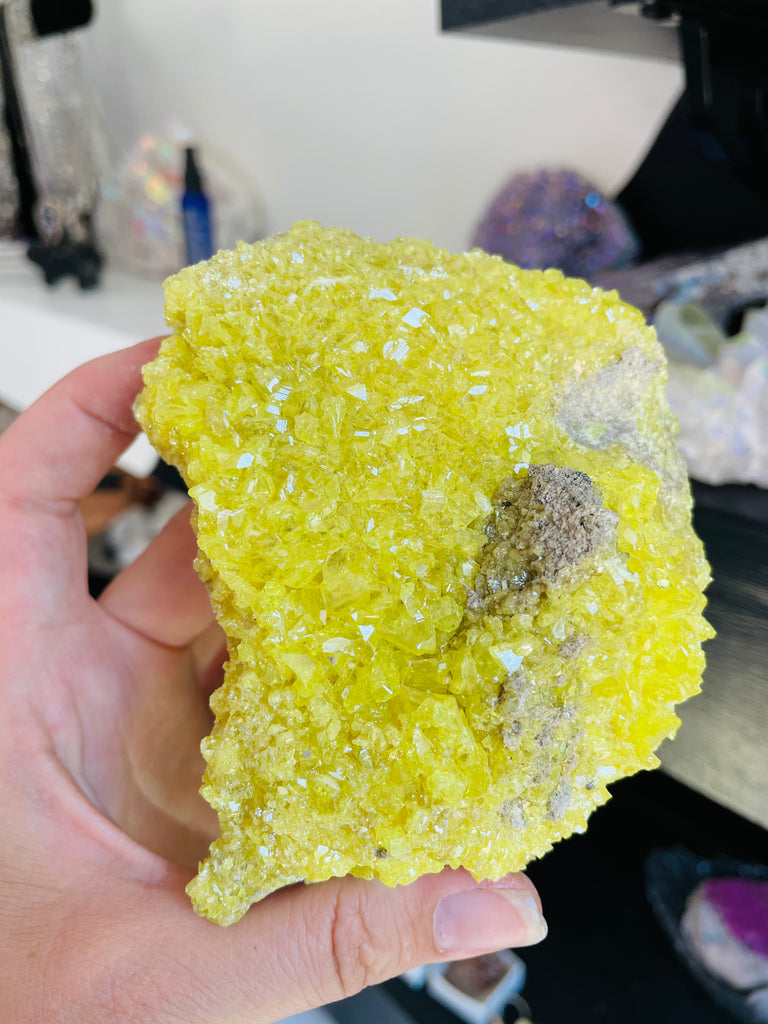 Sulfer Specimen no.6
