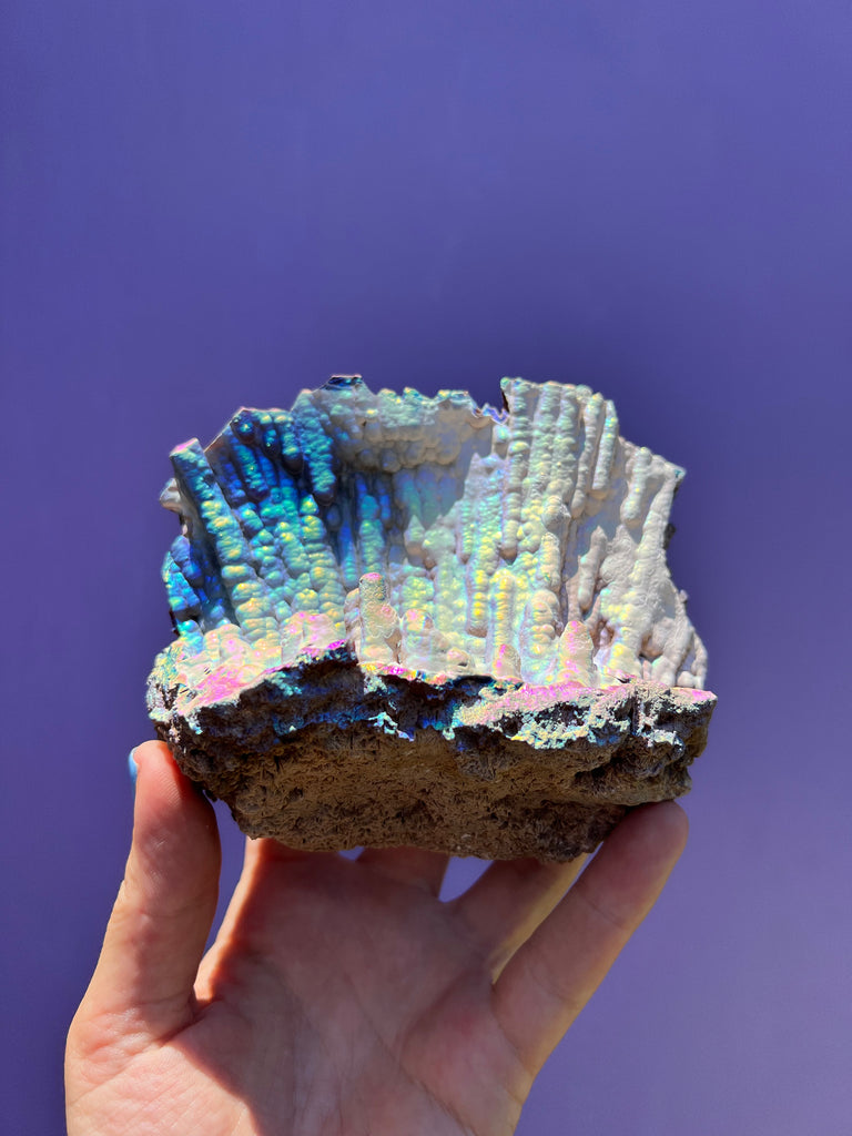 Aura FossilizedCoral no.1