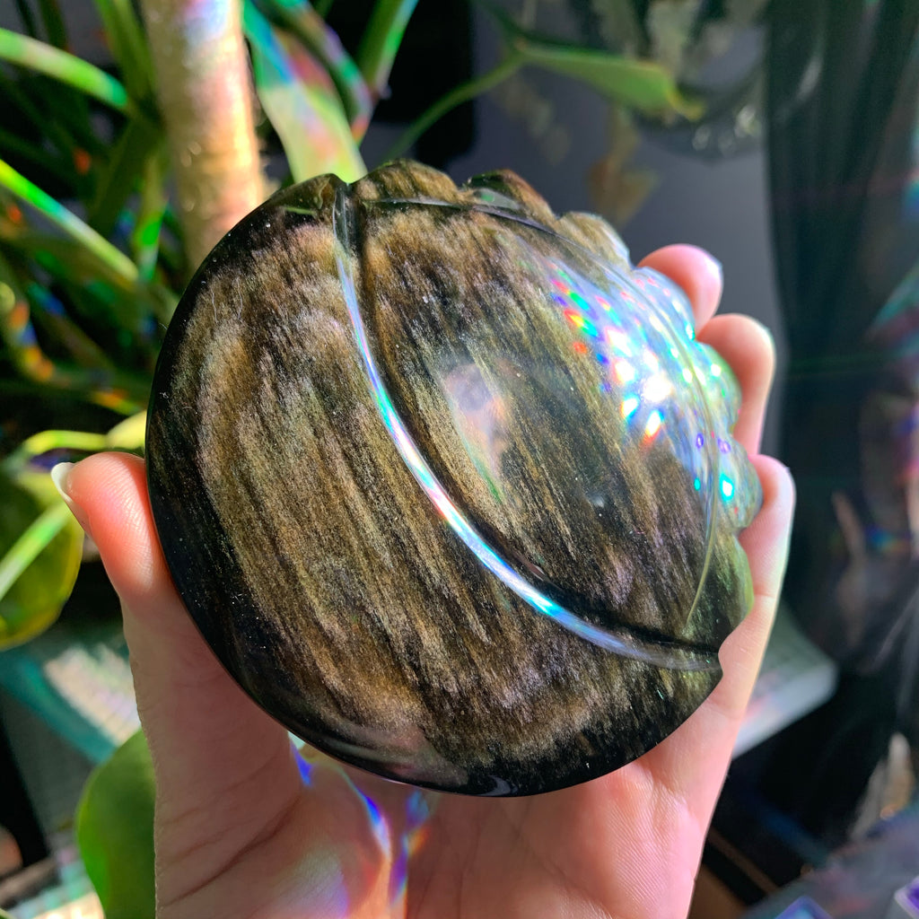 Sun and Moon Golden Sheen Obsidian