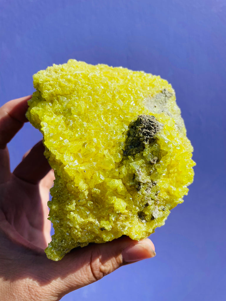 Sulfer Specimen no.6