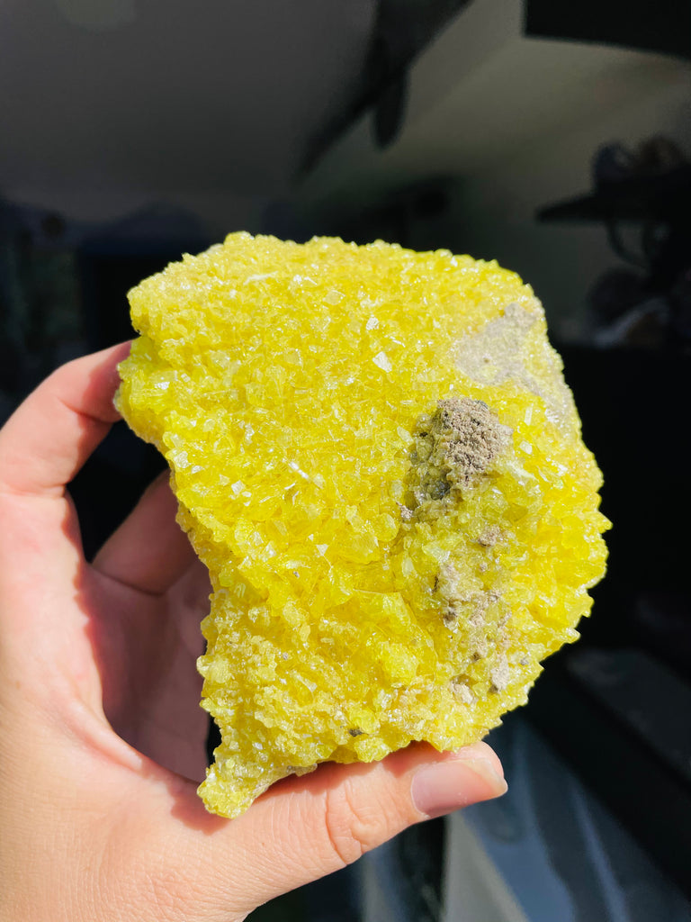 Sulfer Specimen no.6