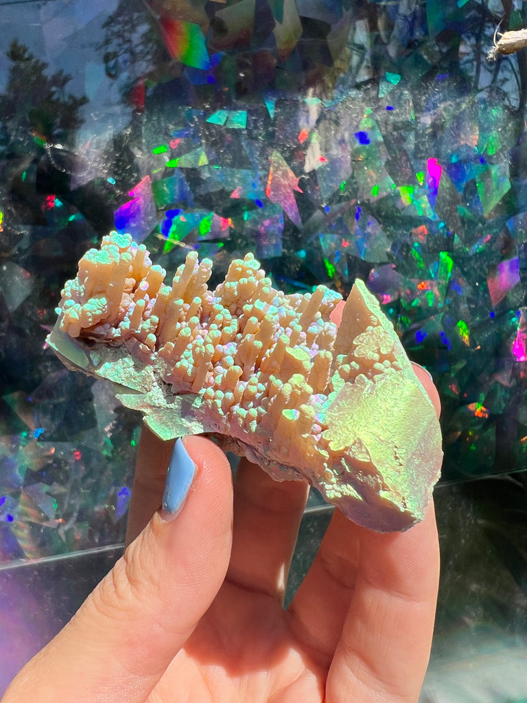 Aura FossilizedCoral City