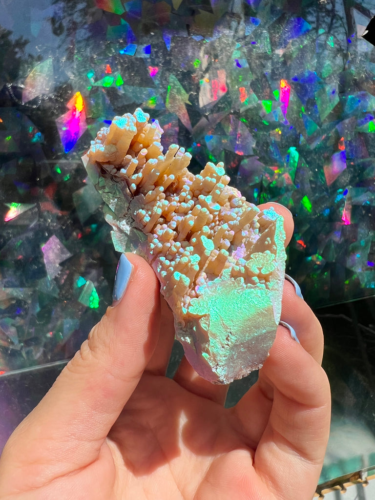 Aura FossilizedCoral City