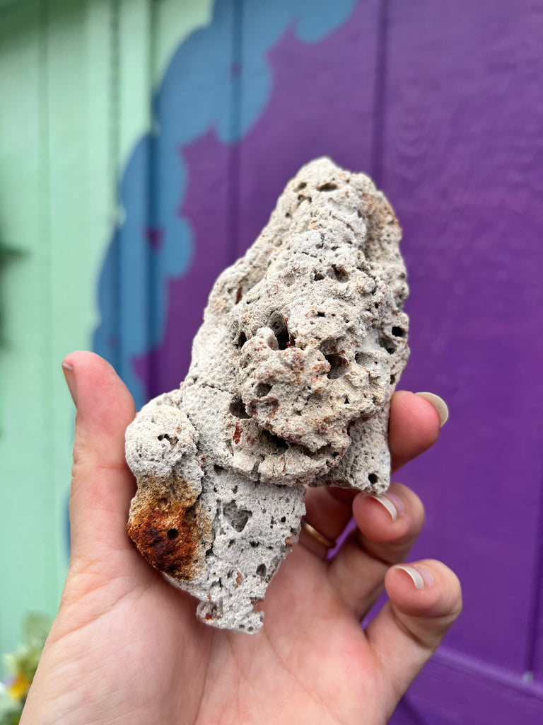 Moonbeam Aura Fossilized C0ral no.4