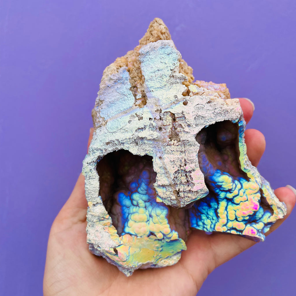 Rare Aura Agatized Coral double chamber