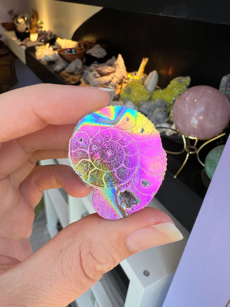Aura Ammonite no.3