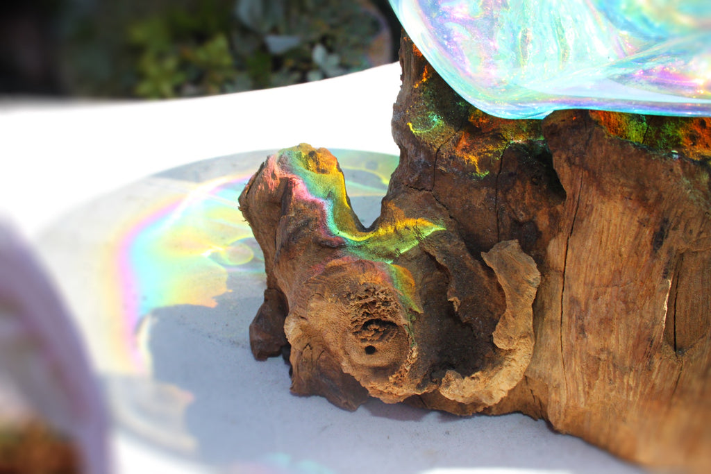 Rainbow Drippy Glass candle/terrarium no.2