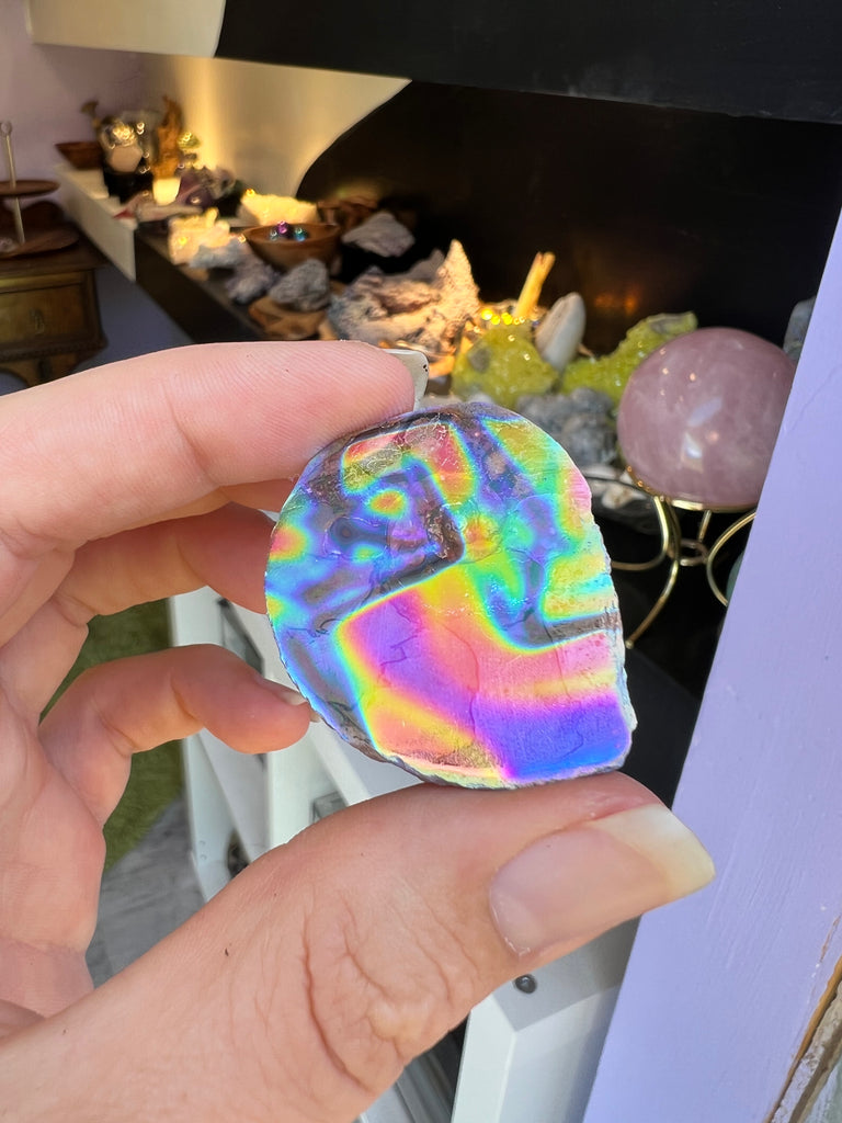 Aura Ammonite no.2