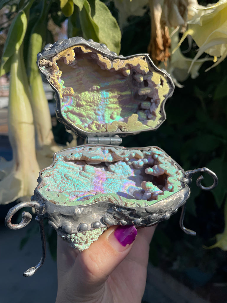 Special Aura fossilized AurafiedCoral Box