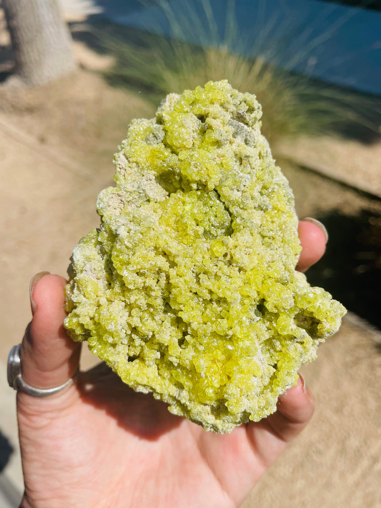 Sulfer Specimen no.1