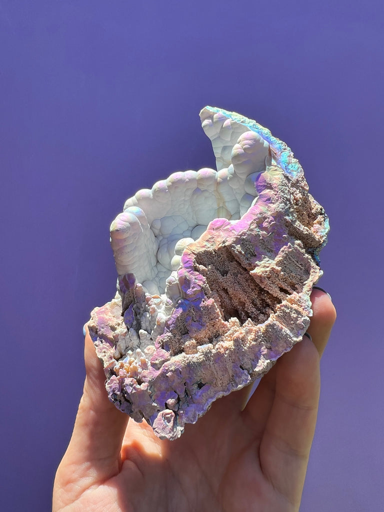 Aura FossilizedCoral no.2