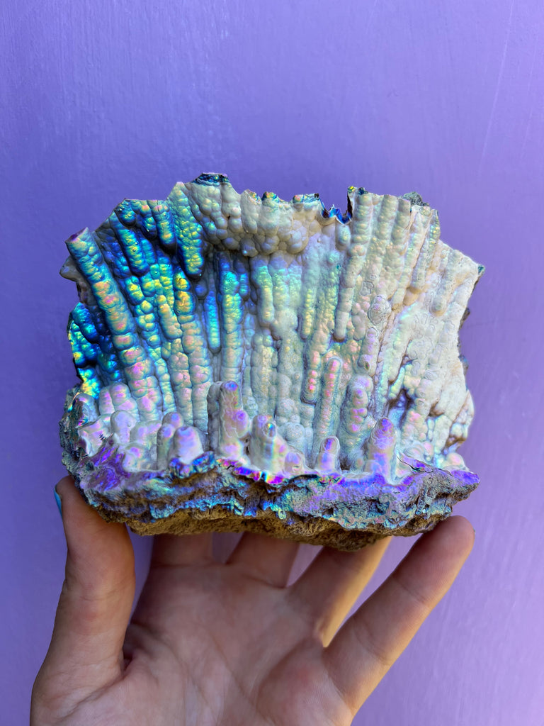 Aura FossilizedCoral no.1