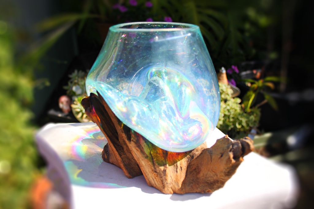 Rainbow Drippy Glass candle/terrarium no.6
