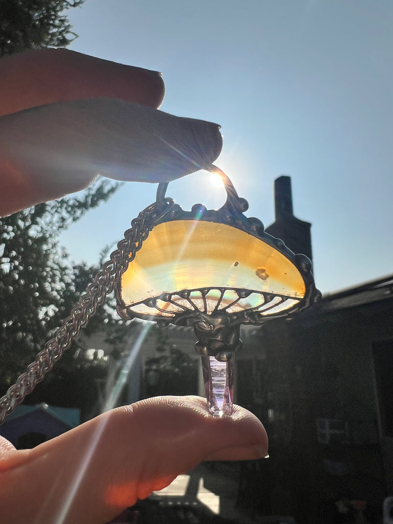 Rainbow Iris Agate & Vera Cruz mushroom pendant no.1