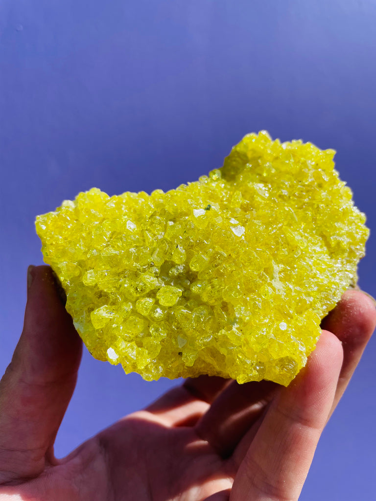 Sulfer Specimen no.4