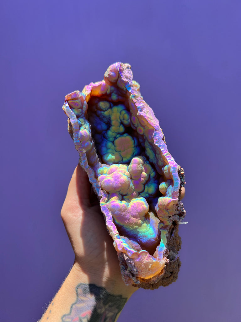Aura FossilizedCoral no.7