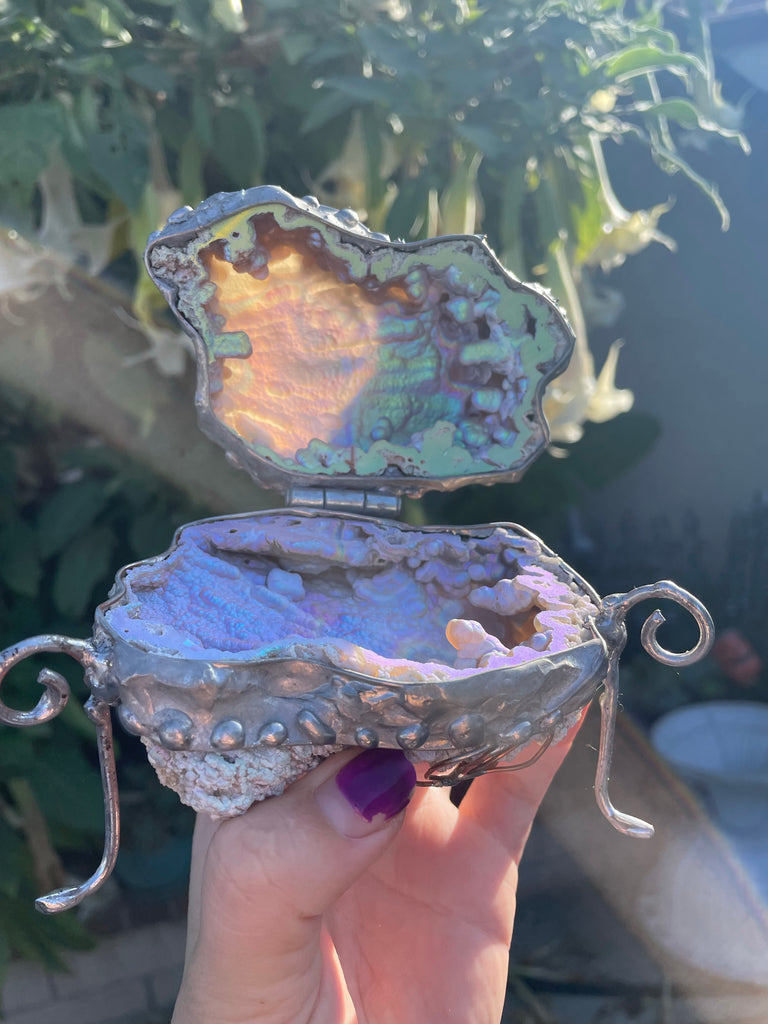Special Aura fossilized AurafiedCoral Box