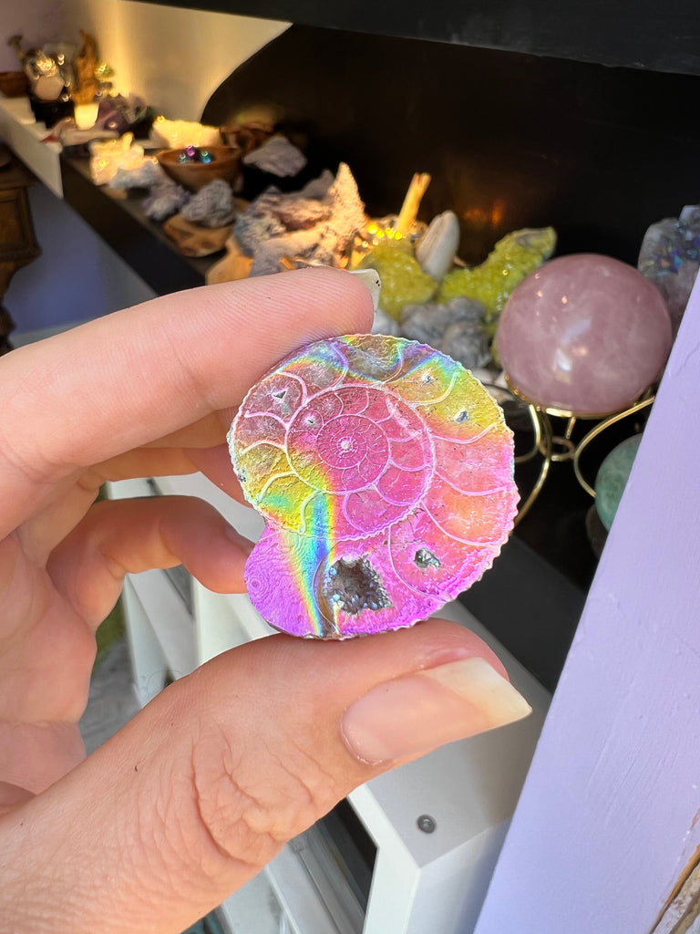 Aura Ammonite no.3
