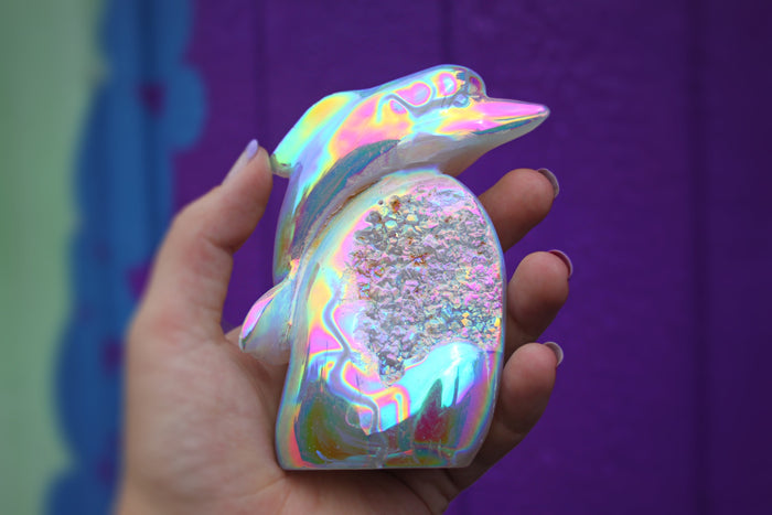Aura Chalcedony Dolphin with druzy geode cave no.3