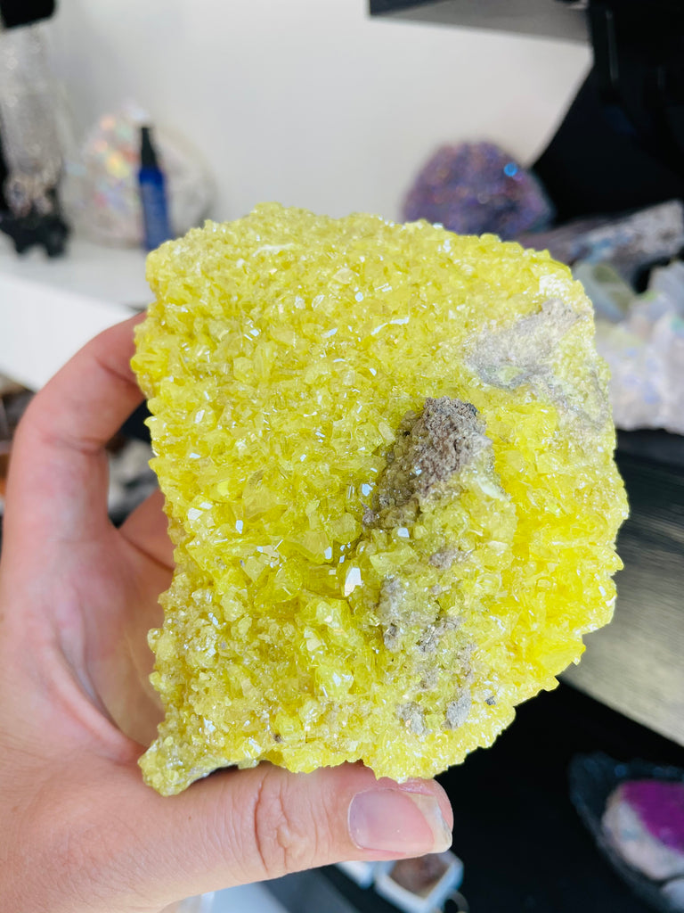 Sulfer Specimen no.6