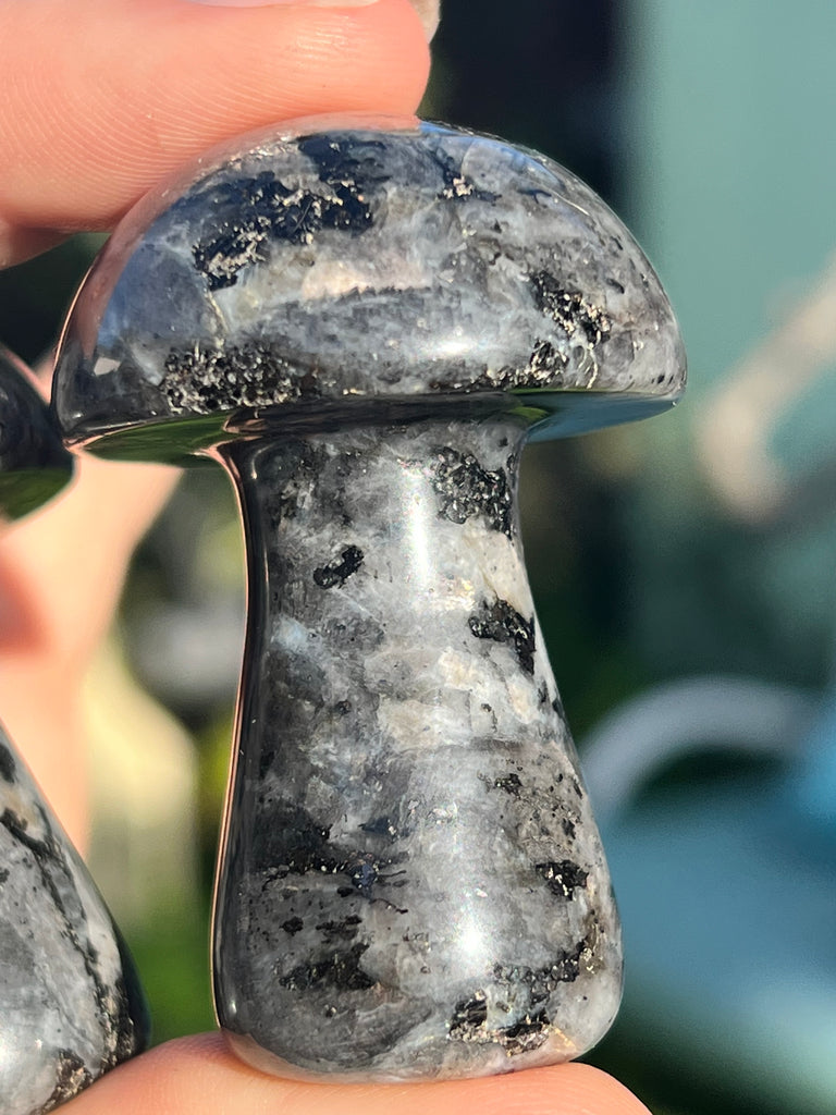 Larvikite mushroom carving