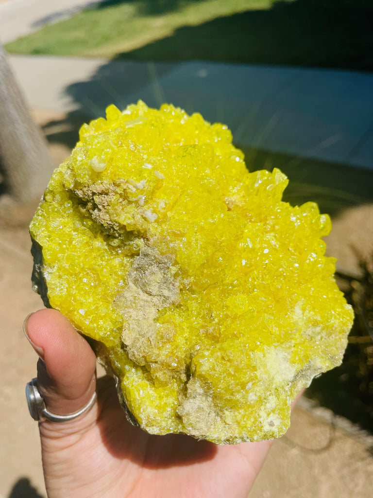 Sulfer Specimen no.2